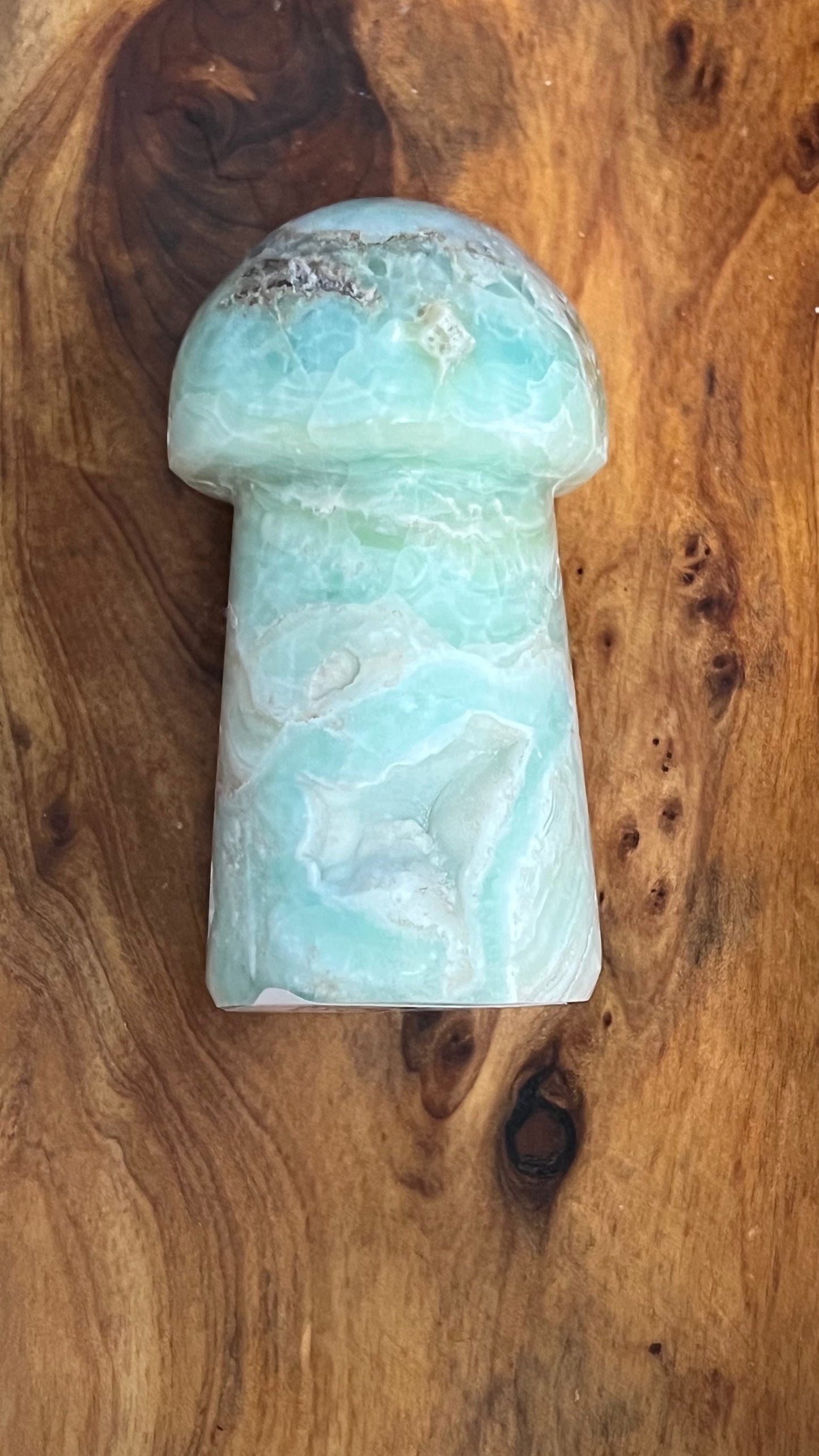 Blue Calcite Mushroom